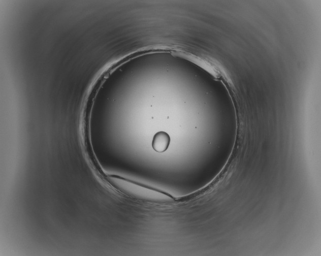 X0000113081136200909041123