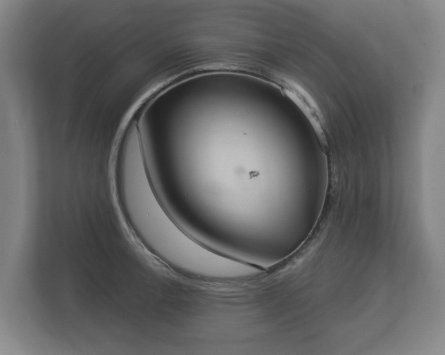 X0000113081138200909041123