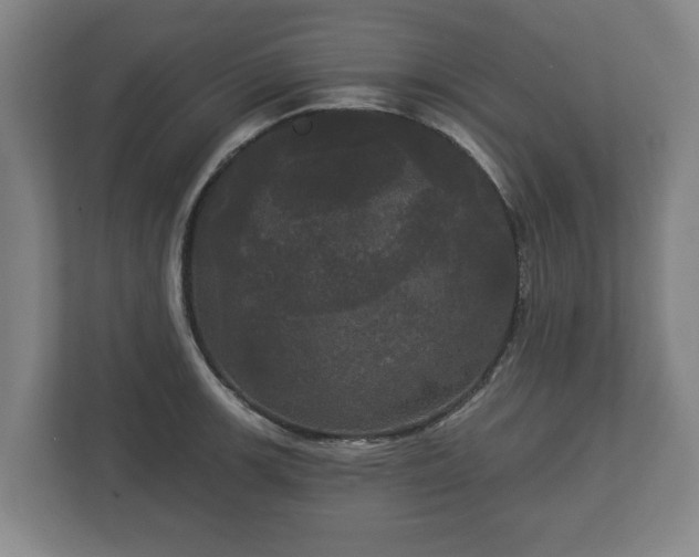 X0000113081139200909041123