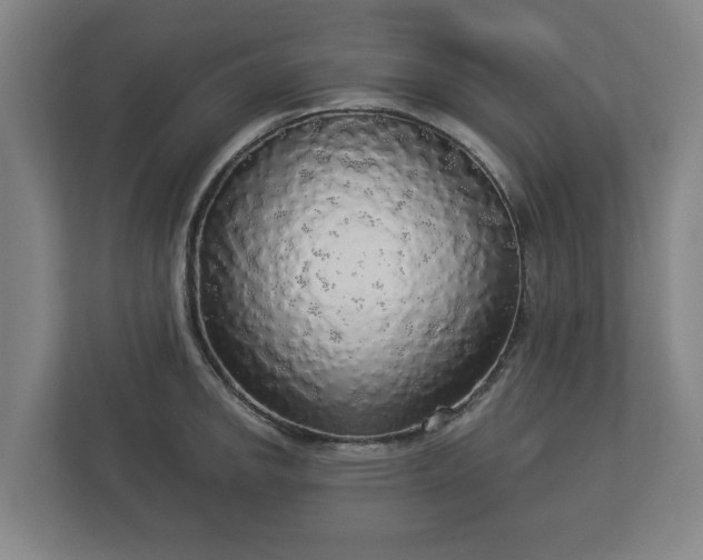 X0000113081142200909041123