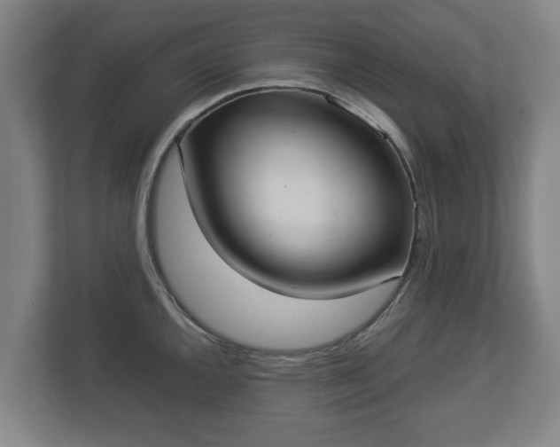 X0000113081144200909041123