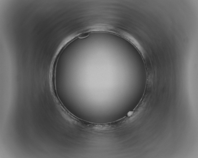 X0000113081146200909041123