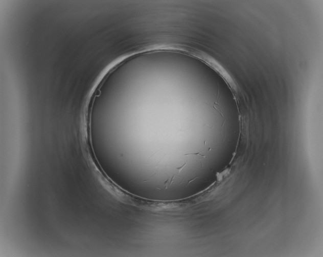 X0000113081148200909041123