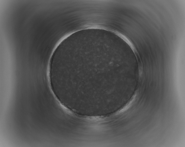 X0000113081149200909041124