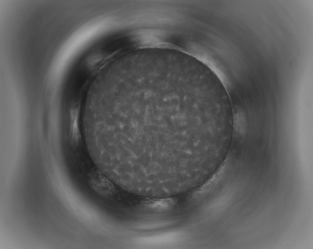 X0000113081150200909041124