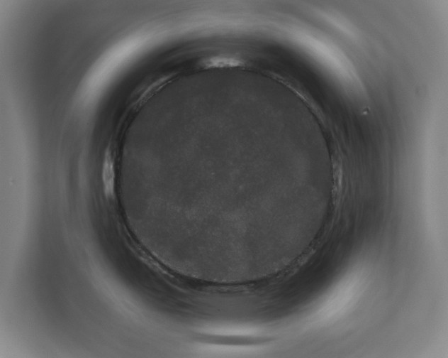 X0000113081151200909041124