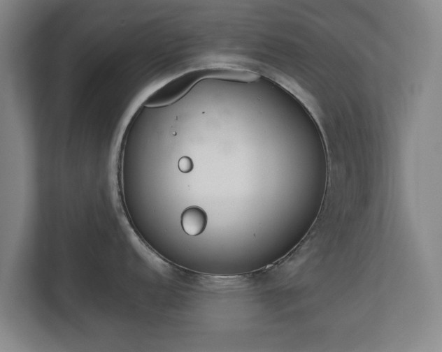 X0000113081152200909041124