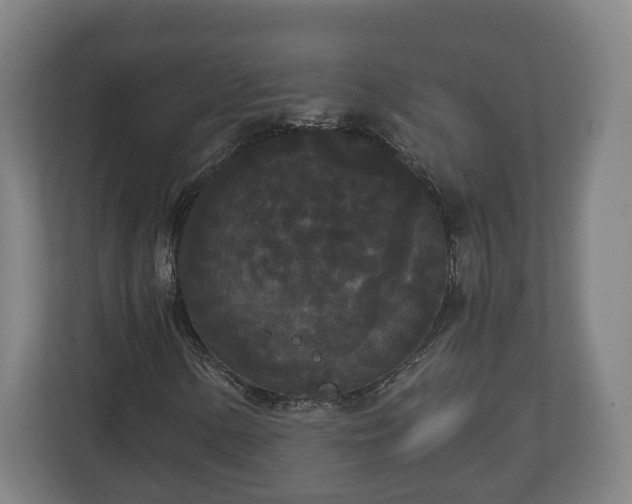 X0000113081154200909041123