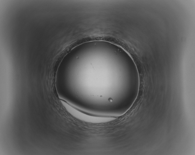 X0000113081157200909041123