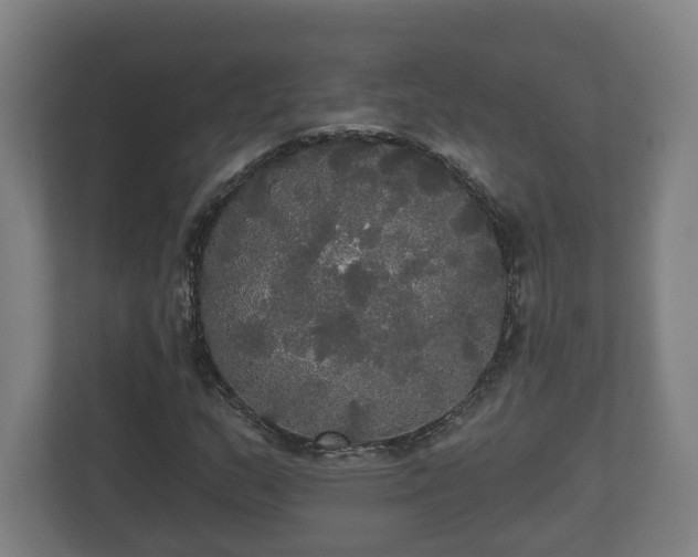 X0000113081159200909041123