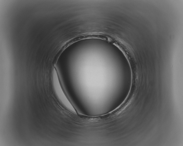 X0000113081161200909041123