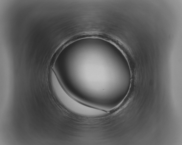 X0000113081162200909041123