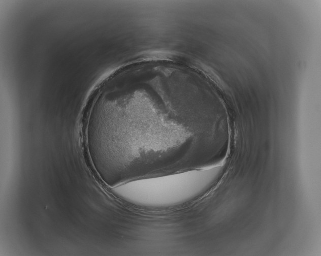 X0000113081164200909041123