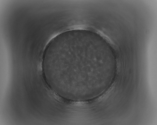 X0000113081166200909041123