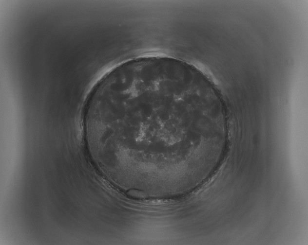 X0000113081167200909041123