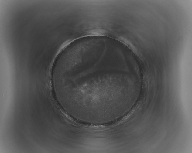 X0000113081168200909041123