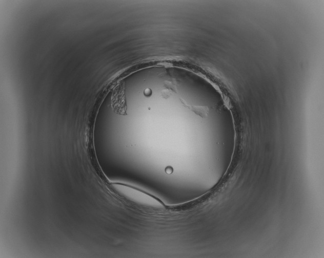 X0000113081169200909041123