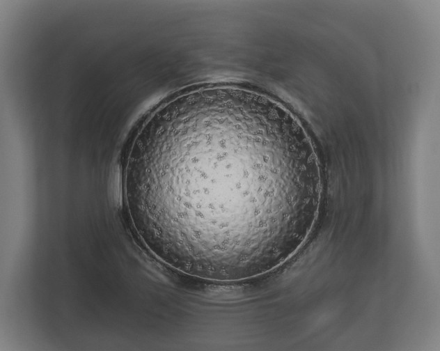 X0000113081171200909041123