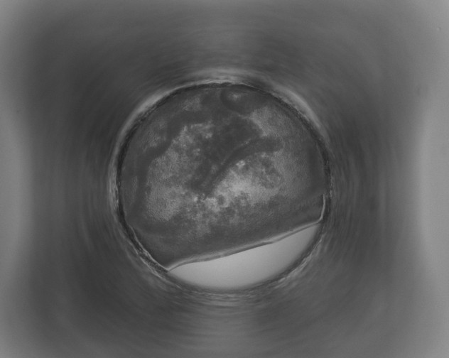 X0000113081172200909041123