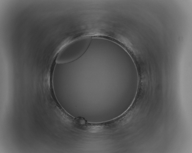 X0000113081173200909041122