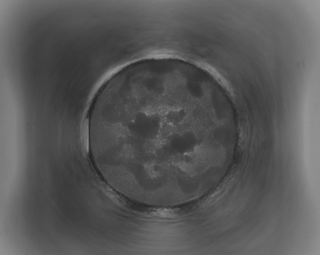 X0000113081175200909041122