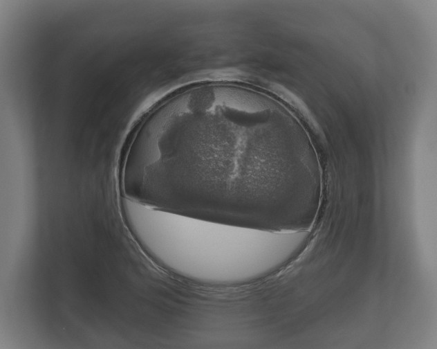 X0000113081176200909041122