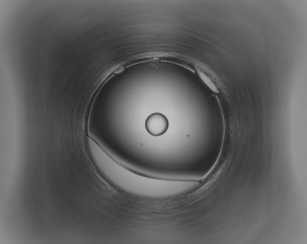 X0000113081177200909041122