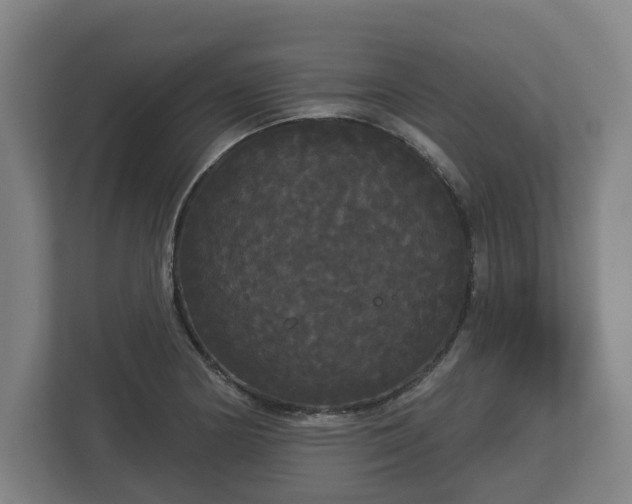 X0000113081178200909041122