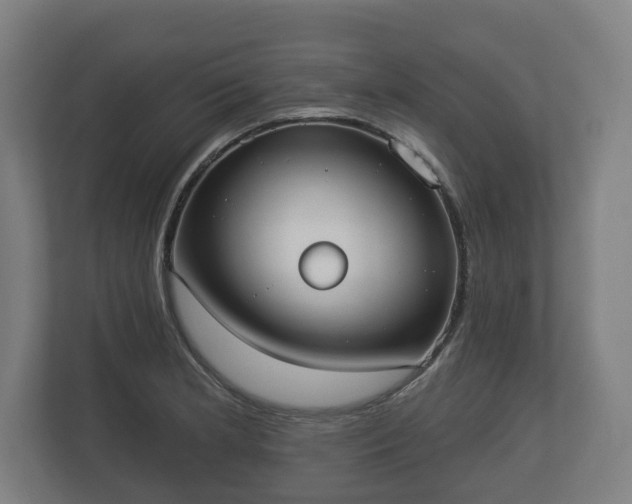 X0000113081181200909041122