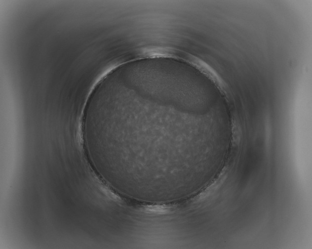 X0000113081182200909041122