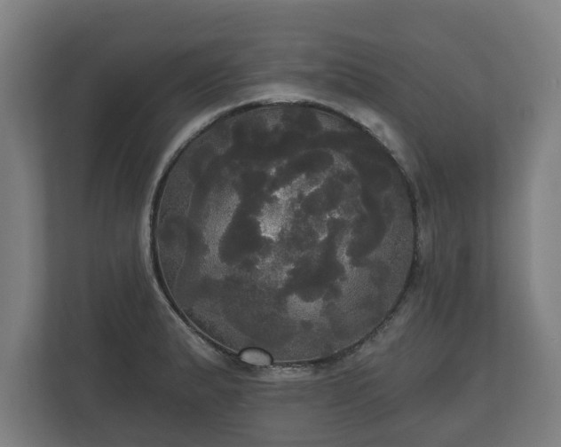 X0000113081183200909041122