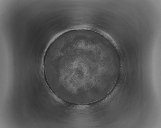 X0000113081184200909041122