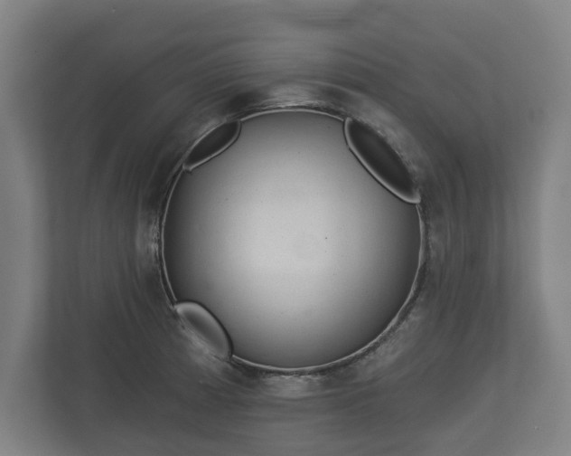 X0000113081185200909041122