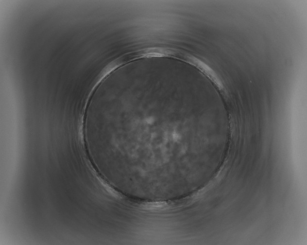 X0000113081186200909041122