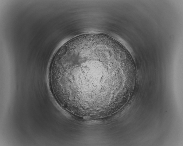 X0000113081187200909041122