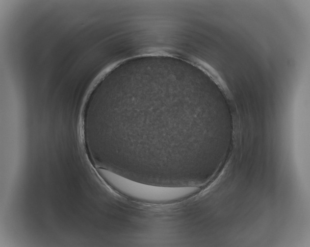 X0000113081188200909041122