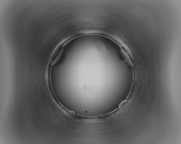 X0000113081189200909041122