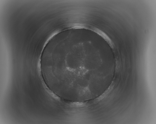 X0000113081190200909041122