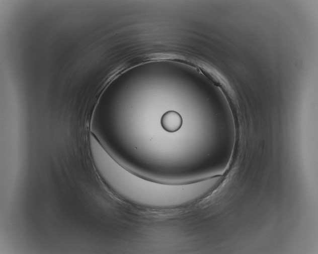 X0000113081193200909041122