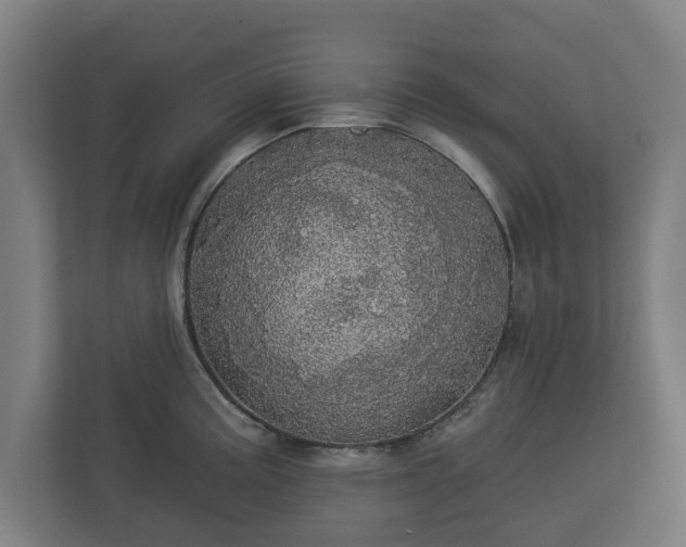 X0000113081195200909041122