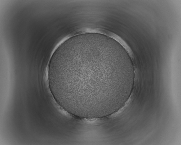 X0000113081198200909041122