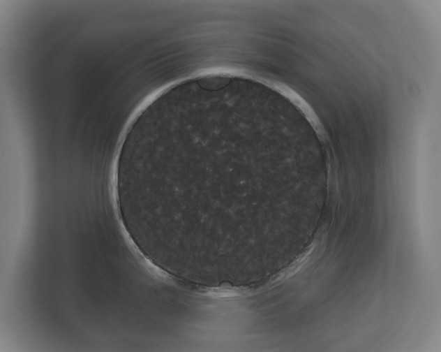 X0000113081199200909041122