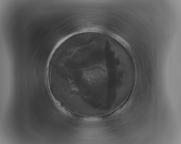 X0000113081200200909041122