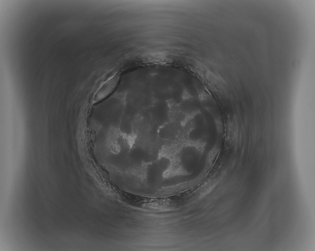 X0000113081201200909041122