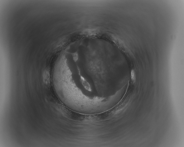 X0000113081203200909041122