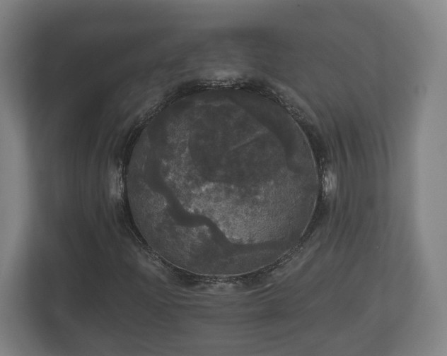 X0000113081204200909041122