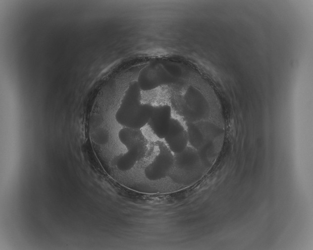 X0000113081205200909041122