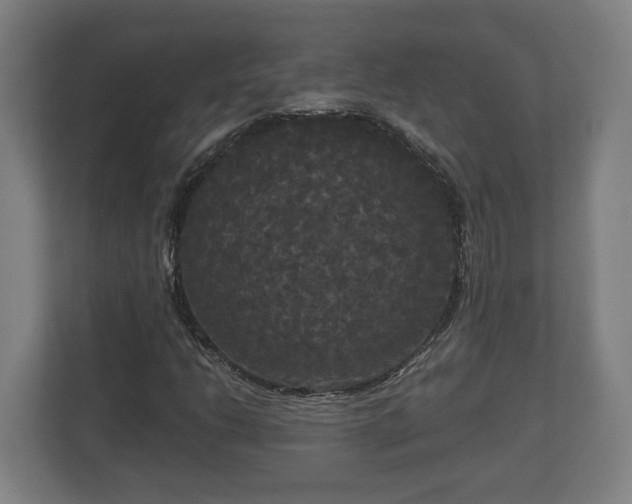 X0000113081206200909041122