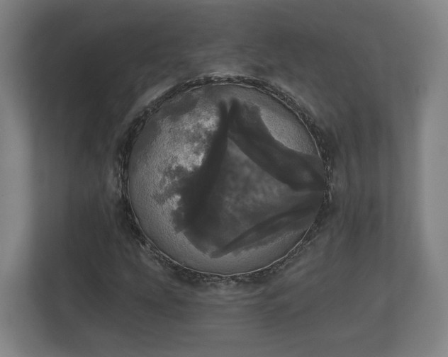 X0000113081207200909041122