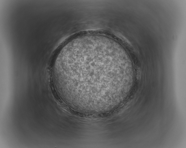 X0000113081208200909041122